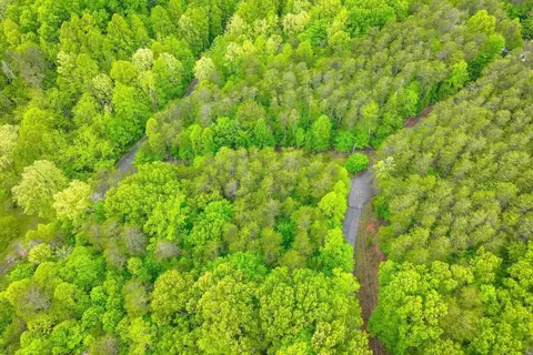 View/Area - lot60 Old Barn Rd, Moneta, VA 24121 photo 8 of 12