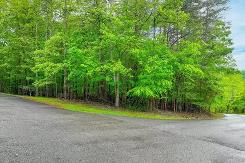 Other - lot60 Old Barn Rd, Moneta, VA 24121 photo 2 of 7