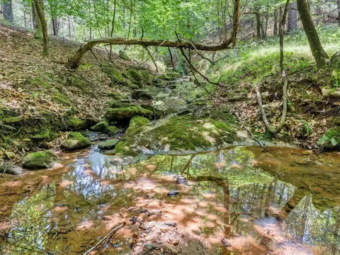 Other - 247 Powell Rd, Ridgeway, VA 24148 photo 11 of 18