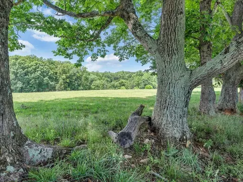 Exterior - 247 Powell Rd, Ridgeway, VA 24148 photo 9 of 14