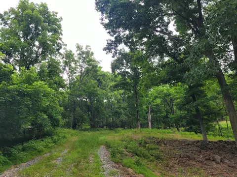 0 Murray Hollow Rd, Thaxton, VA 24174