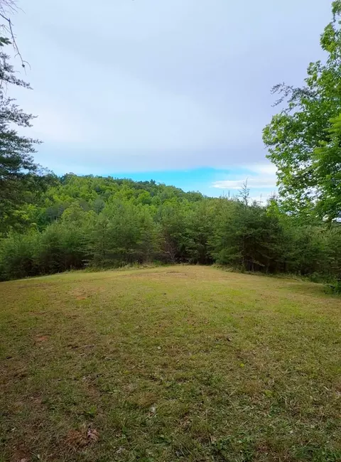 0 Bear Ln, Ferrum, VA 24088