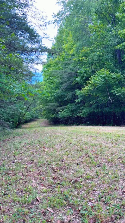 0 Bear Ln, Ferrum, VA 24088 photo 9