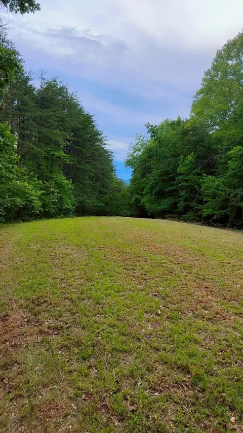 0 Bear Ln, Ferrum, VA 24088 photo 8