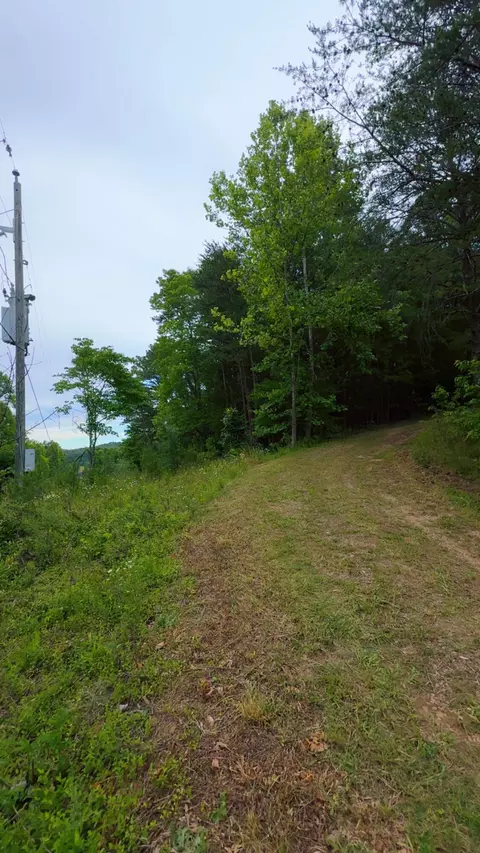 0 Bear Ln, Ferrum, VA 24088 photo 12