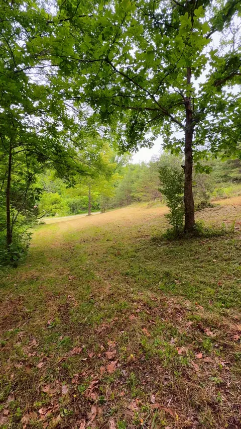 0 Bear Ln, Ferrum, VA 24088 photo 5