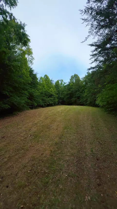 0 Bear Ln, Ferrum, VA 24088 photo 10