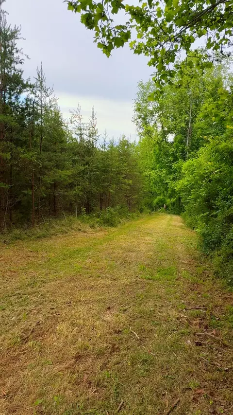 0 Bear Ln, Ferrum, VA 24088 photo 6