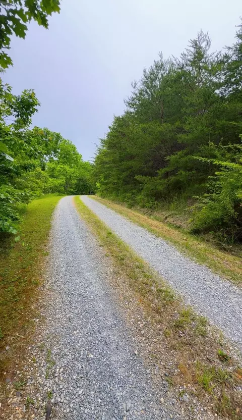 0 Bear Ln, Ferrum, VA 24088 photo 3