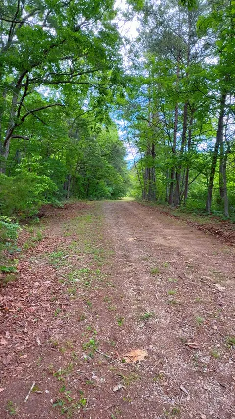 0 Bear Ln, Ferrum, VA 24088 photo 13