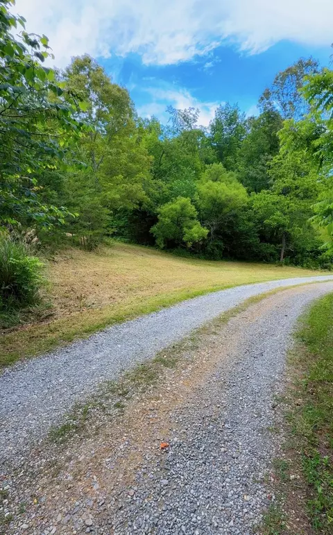 0 Bear Ln, Ferrum, VA 24088 photo 4