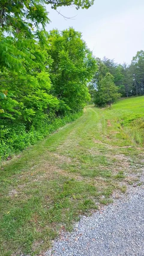0 Bear Ln, Ferrum, VA 24088 photo 11