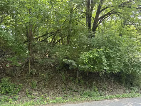 0 Chestnut St, Vinton, VA 24179
