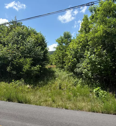 0 Craig Creek Rd, Eagle Rock, VA 24085