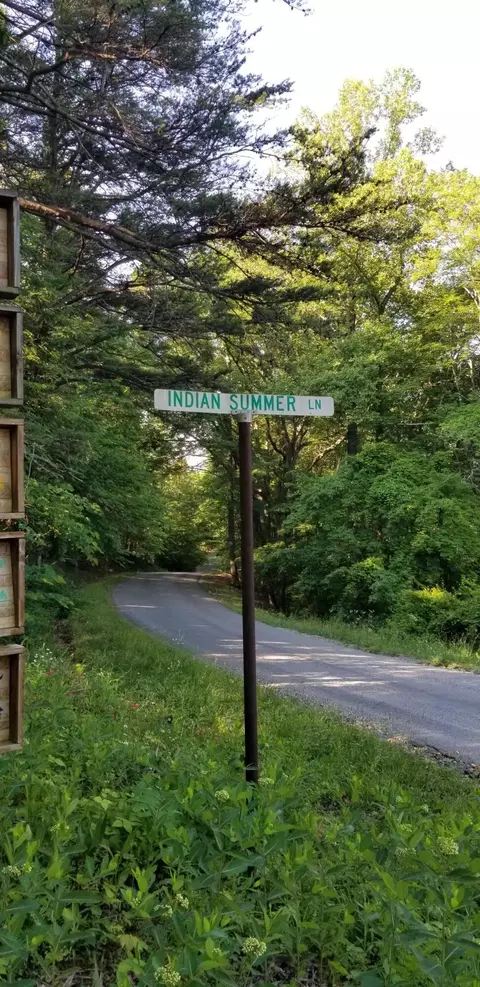 0 Indian Summer Ln, Ferrum, VA 24088 photo 6