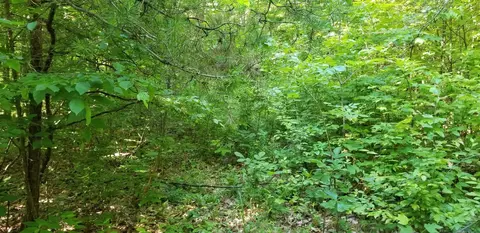 0 Indian Summer Ln, Ferrum, VA 24088 photo 8