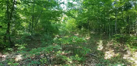 0 Indian Summer Ln, Ferrum, VA 24088 photo 14