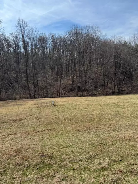 0 Foothills Rd, Callaway, VA 24067