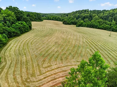 317 Beards Creek Rd, Ferrum, VA 24088 photo 2