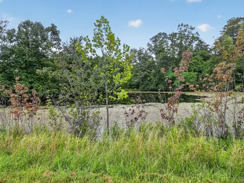 317 Beards Creek Rd, Ferrum, VA 24088 photo 29