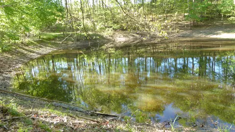 Tract 8 Dusty Ln, Martinsville, VA 24112