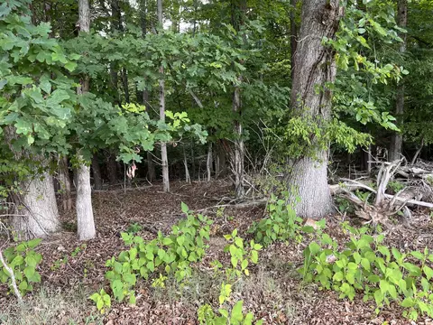 0 Parford Ln, Moneta, VA 24121 photo 2