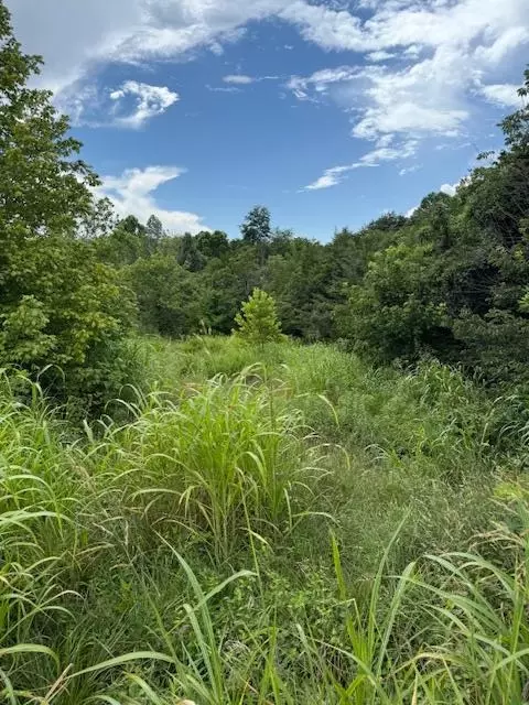 0 Moneta Rd, Bedford, VA 24523