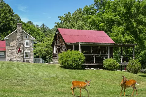 Exterior - 4407 Rich Patch Rd, Covington, VA 24426 photo 16 of 28