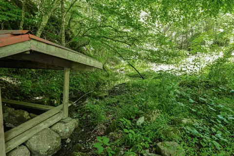 Other - 4407 Rich Patch Rd, Covington, VA 24426 photo 5 of 9