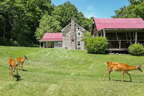 Exterior - 4407 Rich Patch Rd, Covington, VA 24426 photo 15 of 28