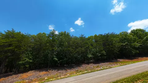 lot61 Garrison Rdg, Pittsville, VA 24139