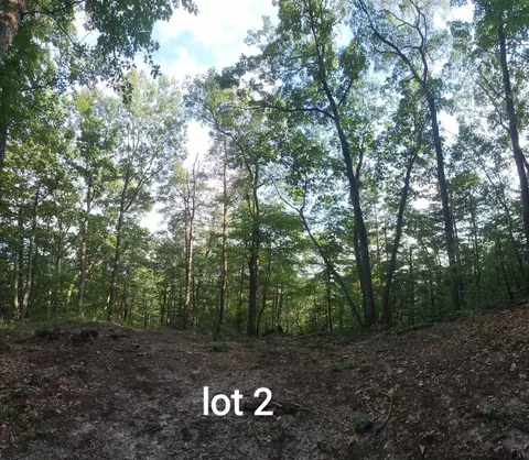 2761 Reese Mountain Rd, Elliston, VA 24087