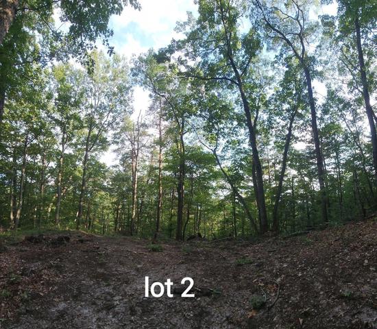 2761 Reese Mountain Rd, Elliston, VA 24087