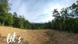 2811 Reese Mountain Rd, Elliston, VA 24087