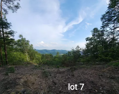 3031 Reese Mountain Rd, Elliston, VA 24087