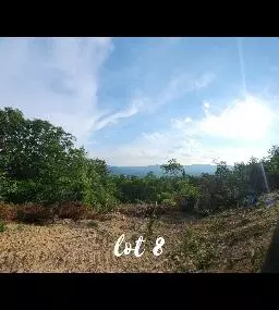 3141 Reese Mountain Rd, Elliston, VA 24087