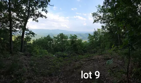 3280 Reese Mountain Rd, Elliston, VA 24087