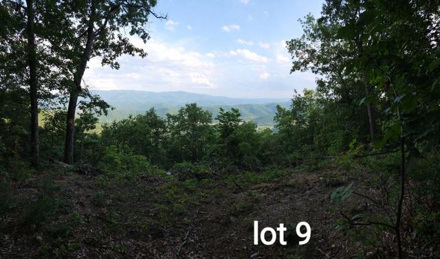 3280 Reese Mountain Rd, Elliston, VA 24087