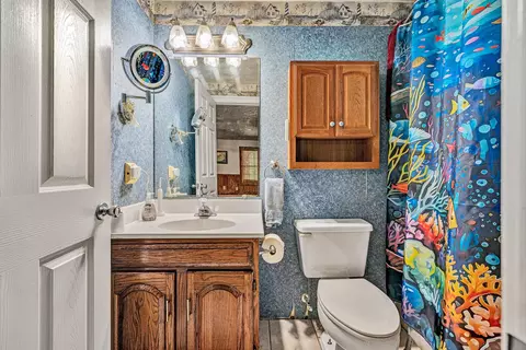 Bath - 419 Willowood Dr, Vinton, VA 24179 photo 7 of 7
