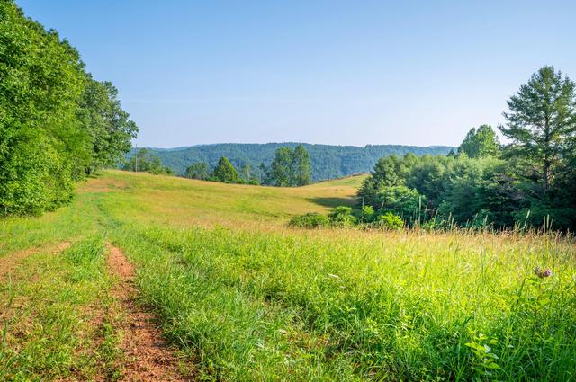 000 Fairhaven Dr, Dugspur, VA 24325