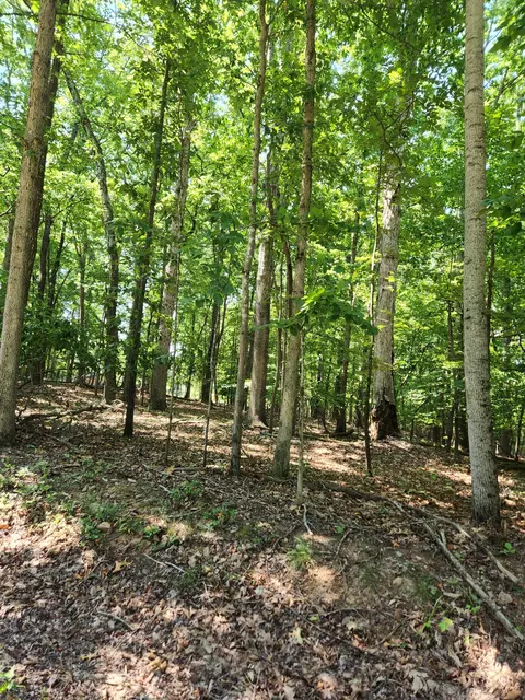 0 Otter Dr, Ferrum, VA 24088 photo 1