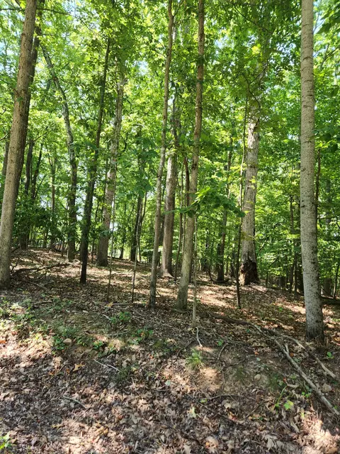 0 Otter Dr, Ferrum, VA 24088 photo 2