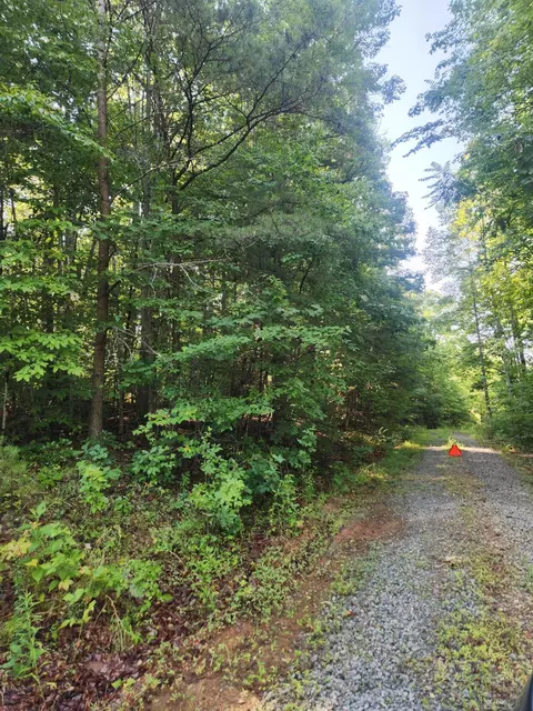 0 Otter Dr, Ferrum, VA 24088 photo 6