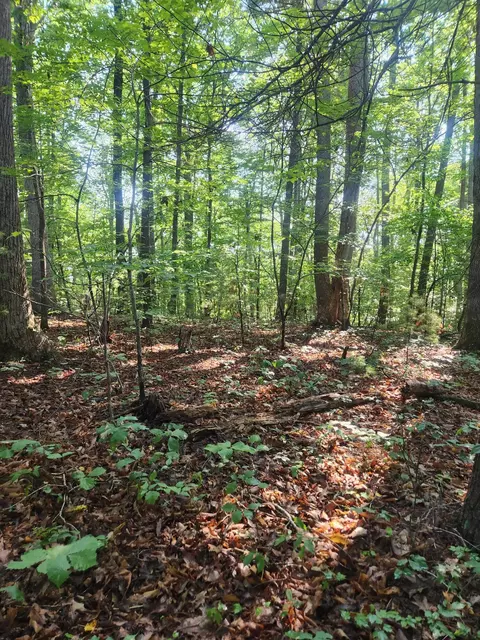 0 Otter Dr, Ferrum, VA 24088 photo 3