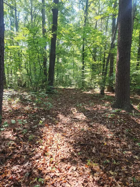 0 Otter Dr, Ferrum, VA 24088 photo 5