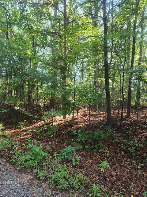 0 Otter Dr, Ferrum, VA 24088 photo 4