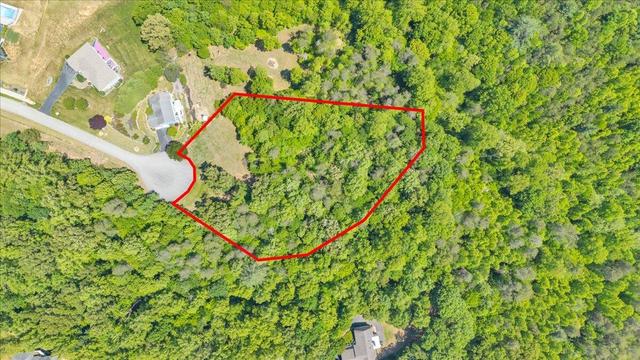lot13 Independence Ln, Wirtz, VA 24184