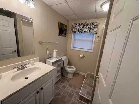 117 Wind Chase Trl, Woolwine, VA 24185 photo 37