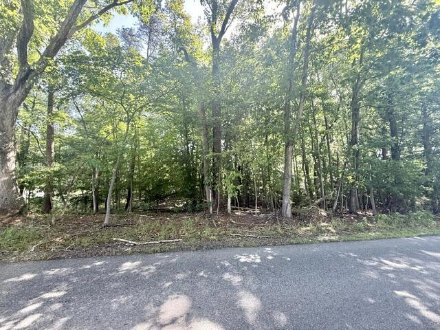 67 High Point Rd, Moneta, VA 24121