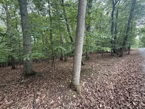 lot17 Saunders Point Rd, Huddleston, VA 24104